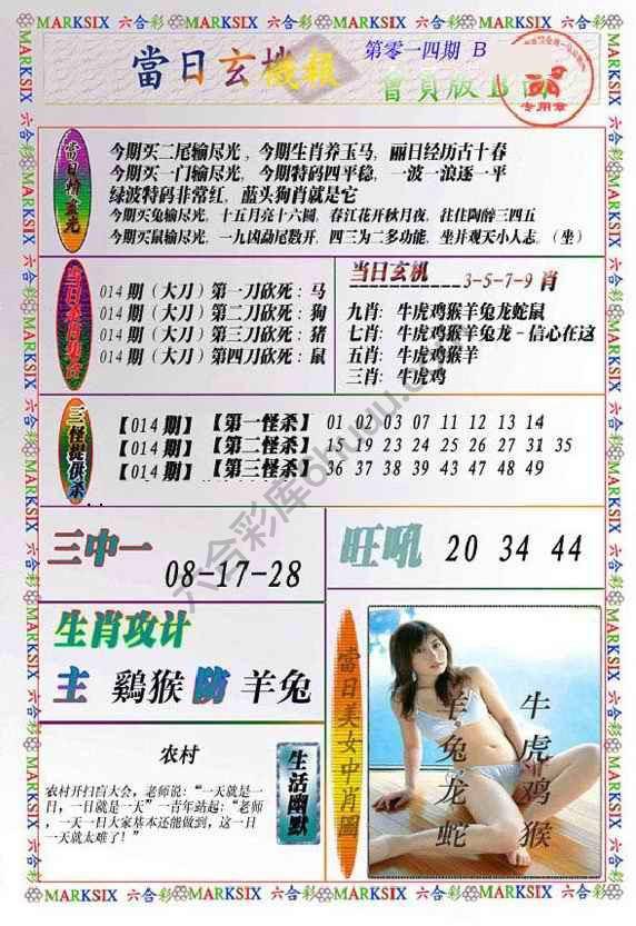 当日玄机报