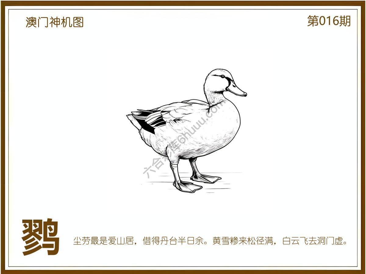 澳门神机图