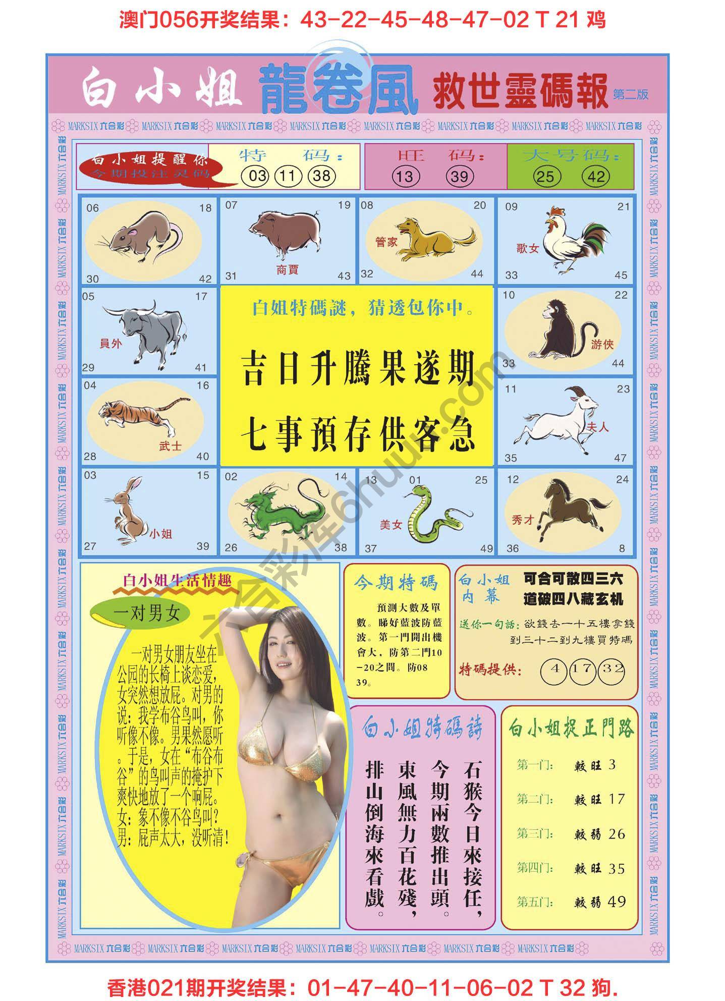 白小姐龙卷风