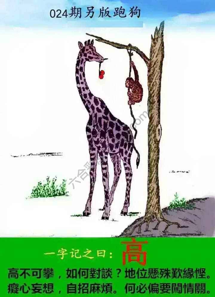 另版跑狗