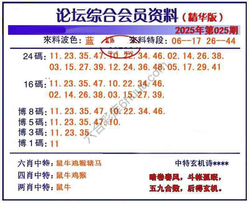 综合会员资料