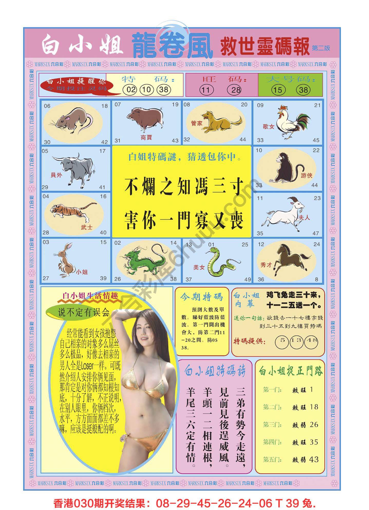白小姐救世灵码报