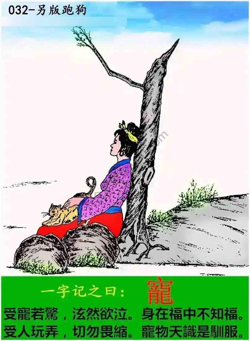 另版跑狗