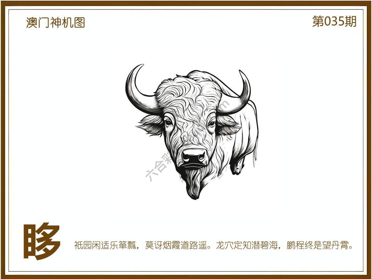 澳门神机图