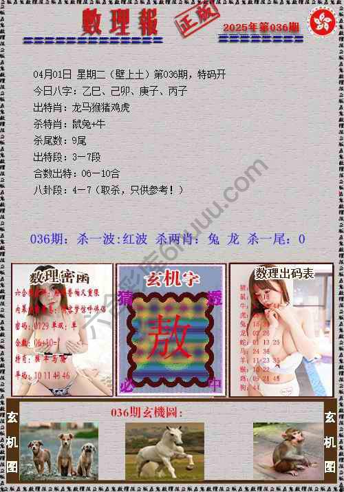 数理报