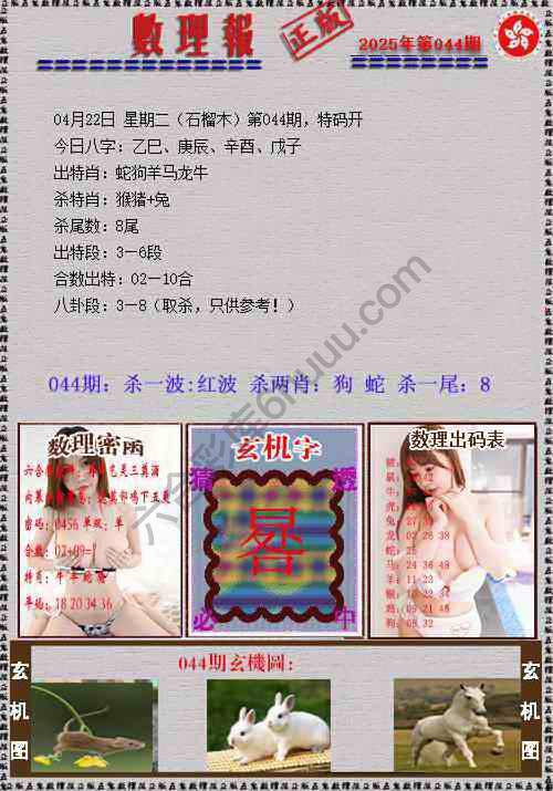 数理报