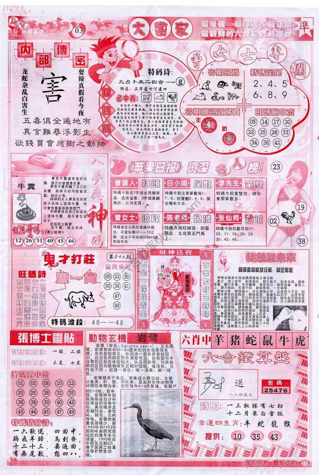 大当家