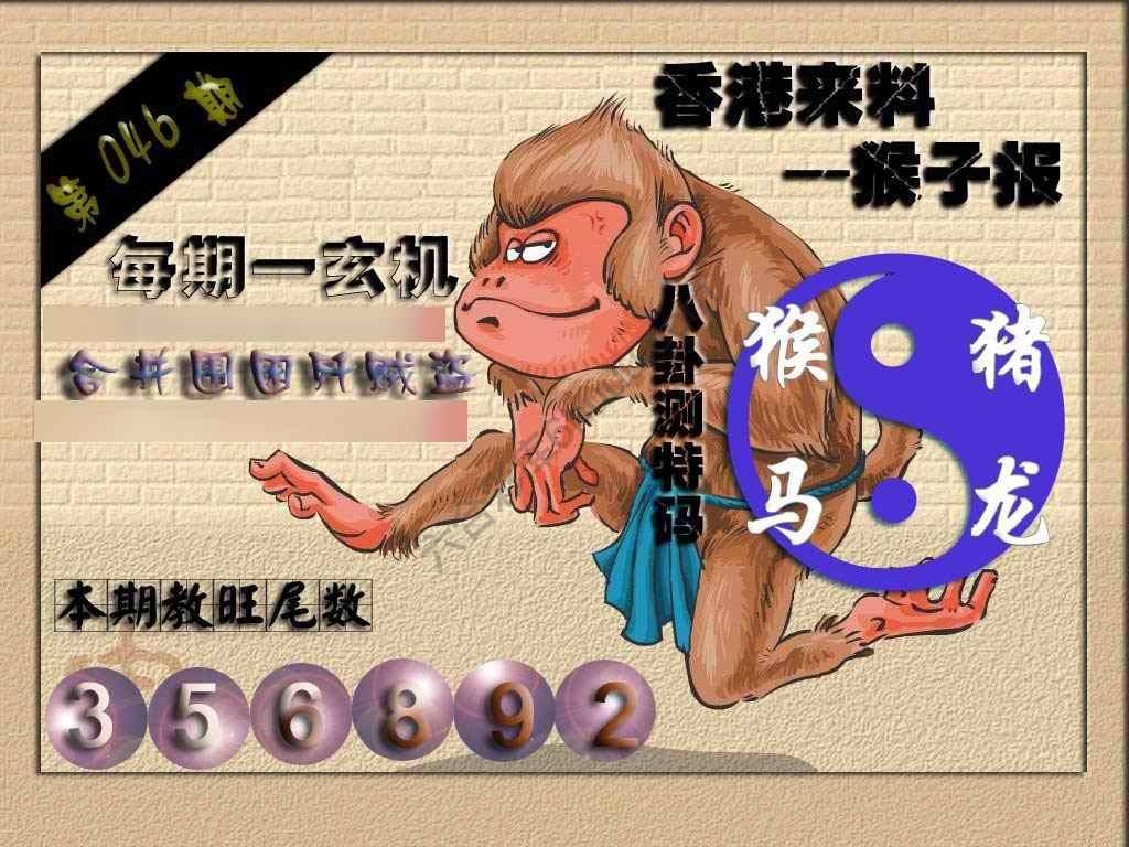 猴子报