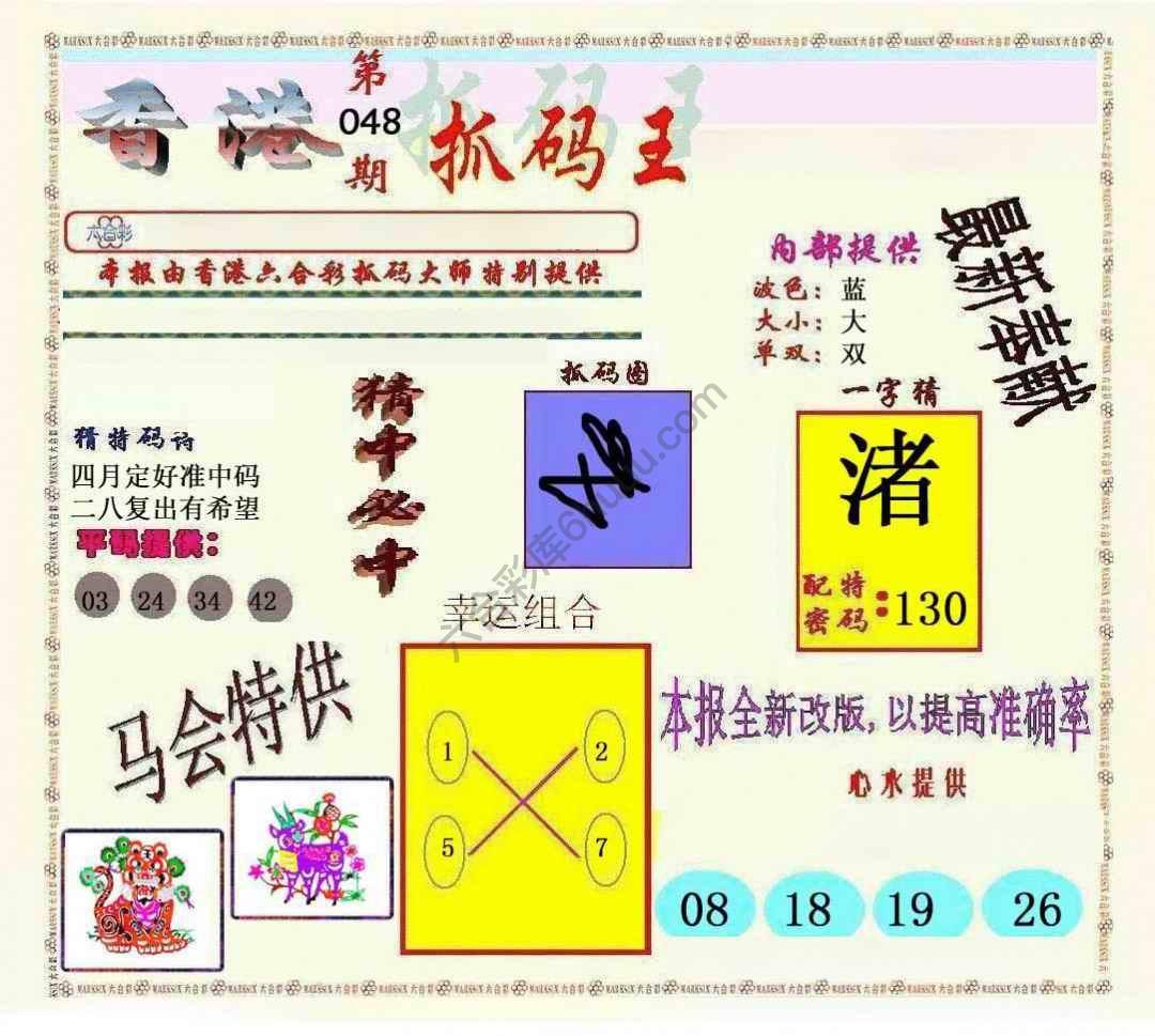 新抓码王