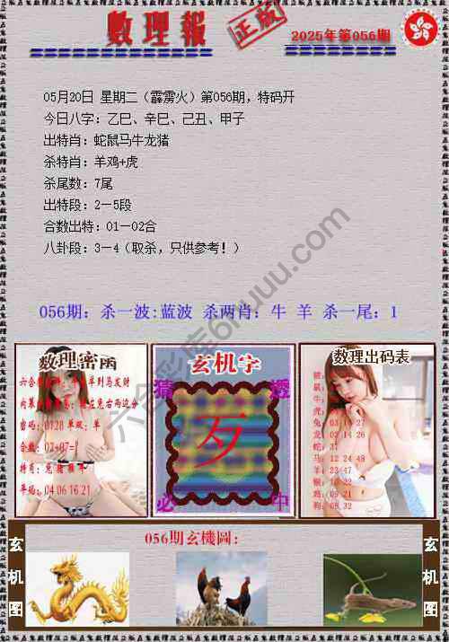 数理报