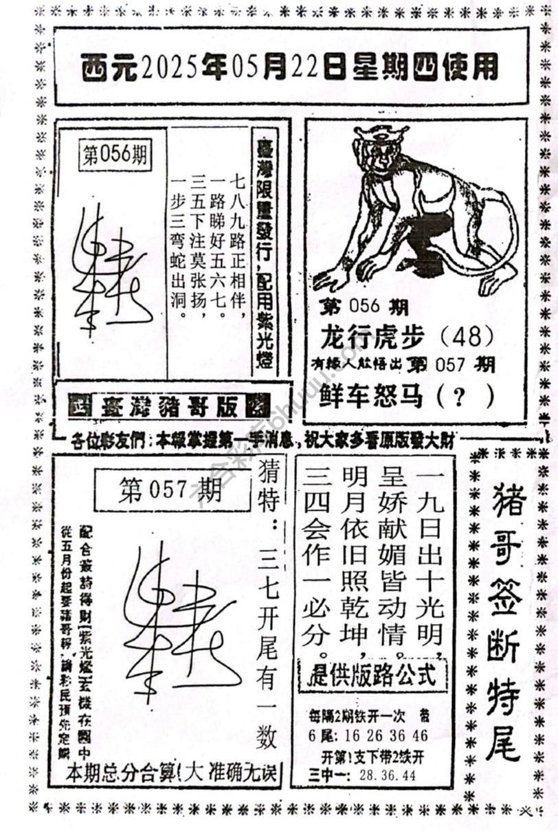 猪哥签断特尾