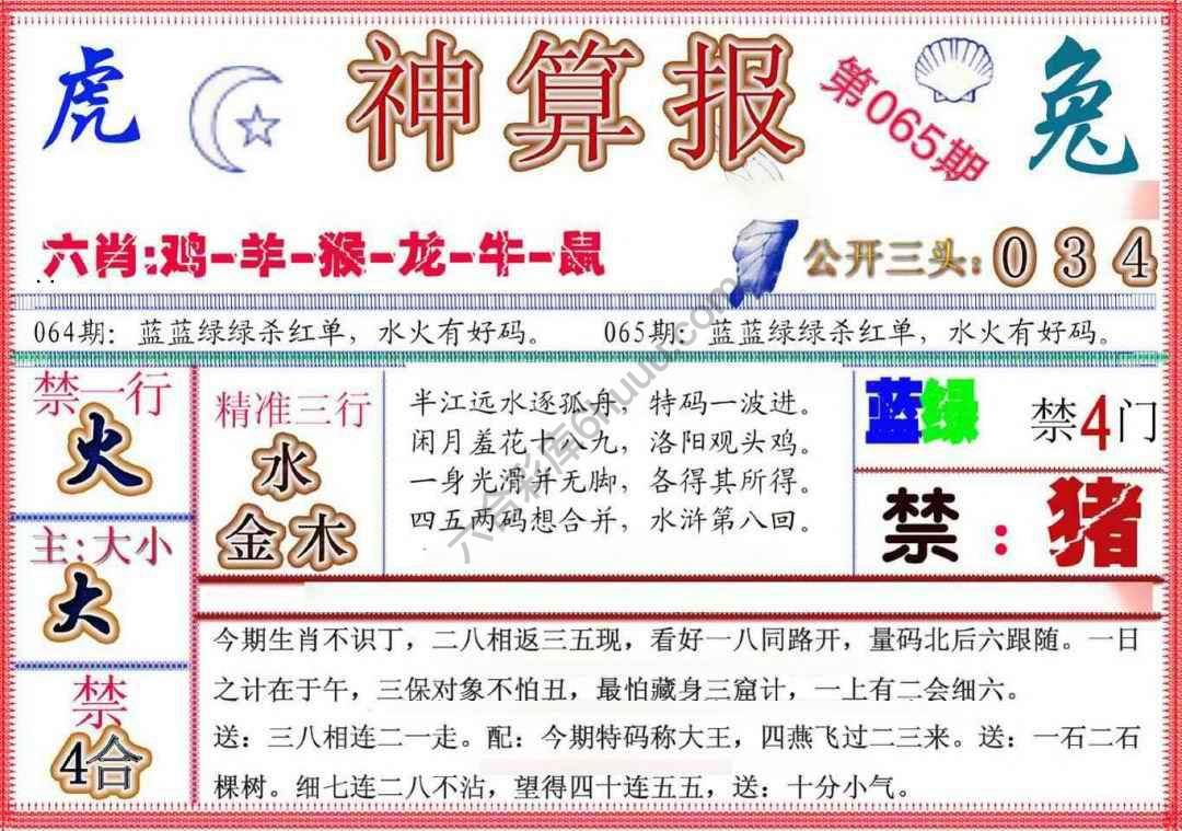 神算报新版