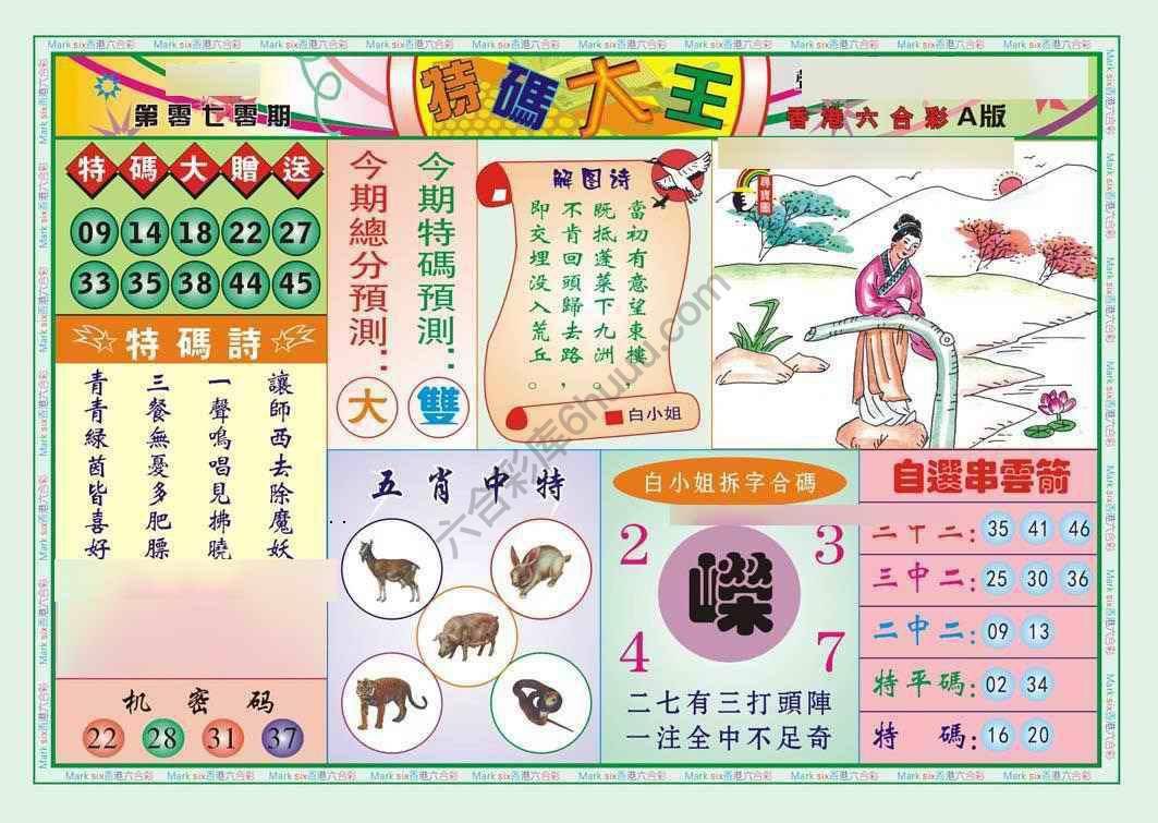 特码大王
