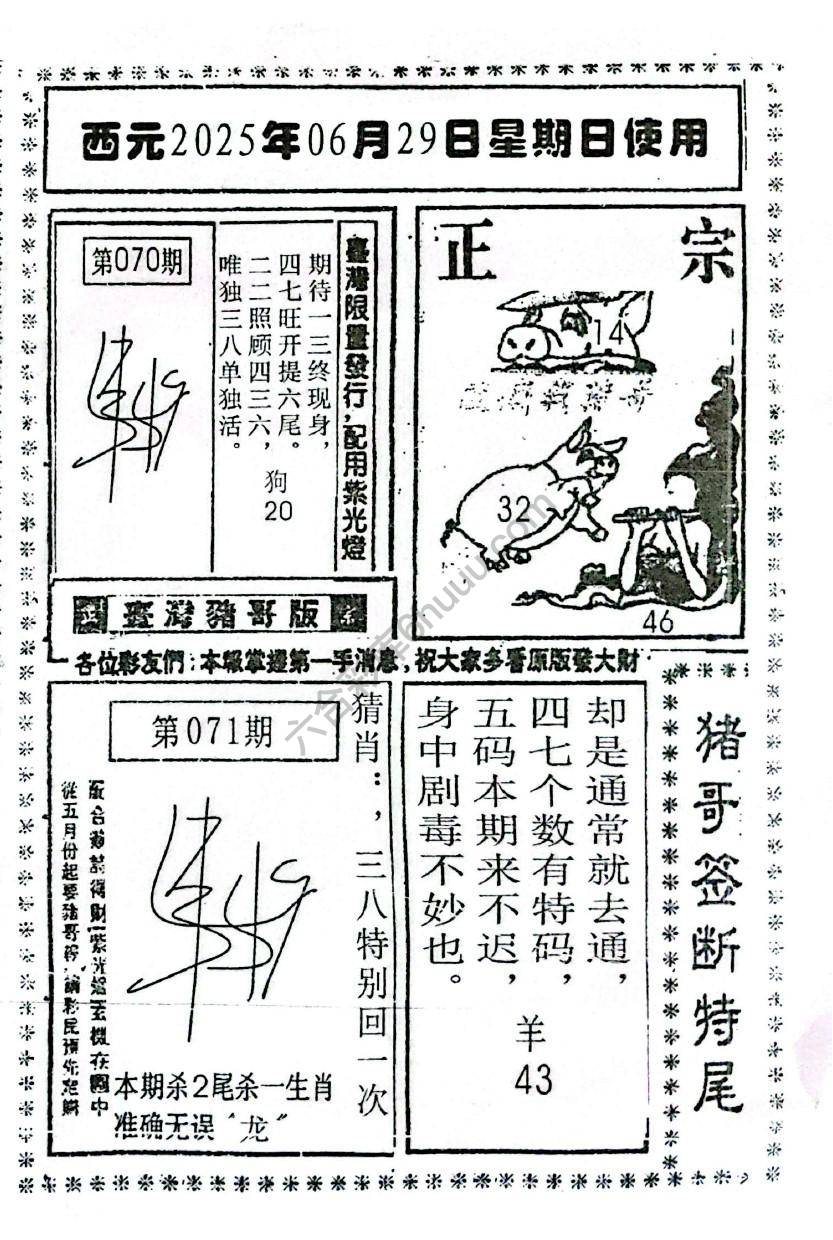 猪哥签断特尾