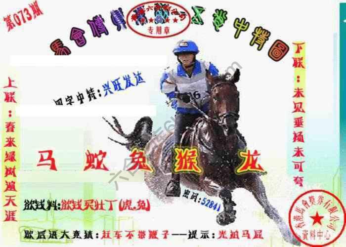 马会传真五肖料
