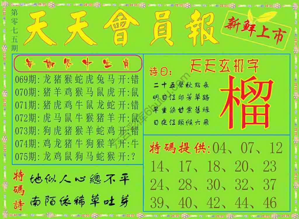 天天会员报