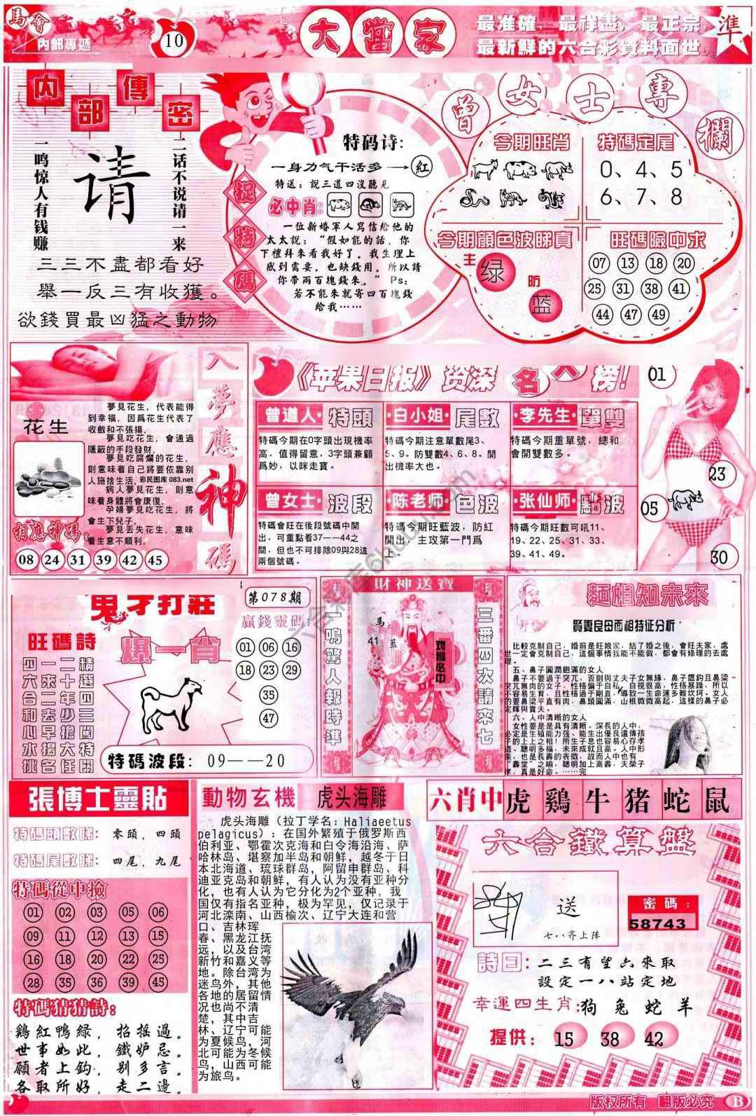 大当家