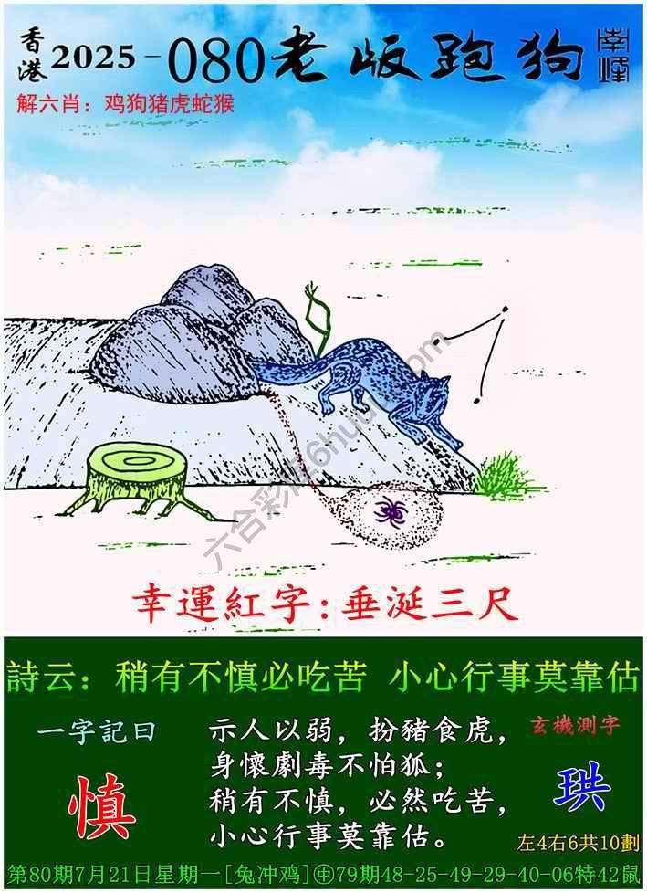老版跑狗图