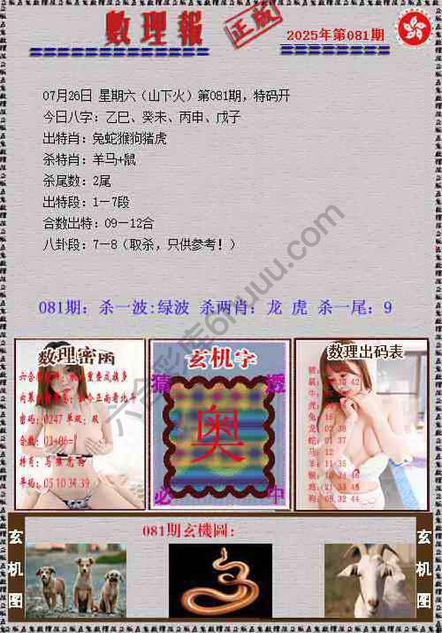 数理报