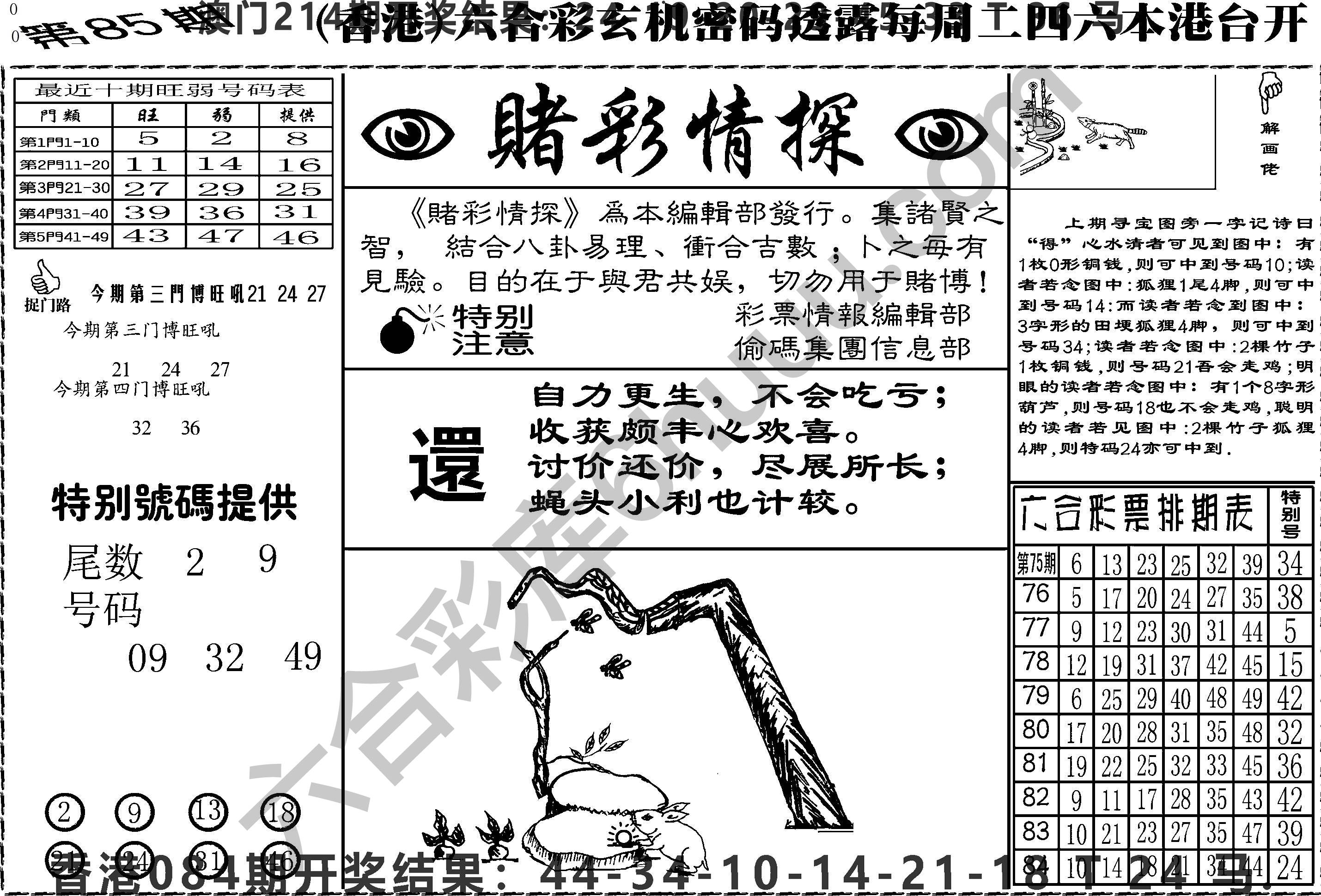 赌彩情探