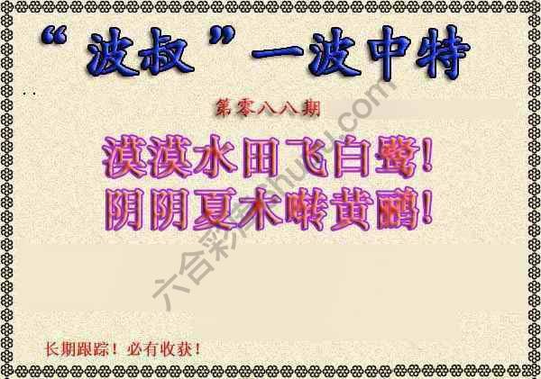 波叔一波中特