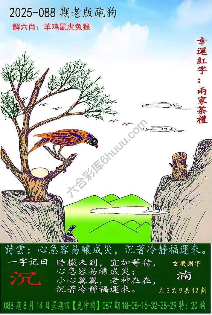老版跑狗图