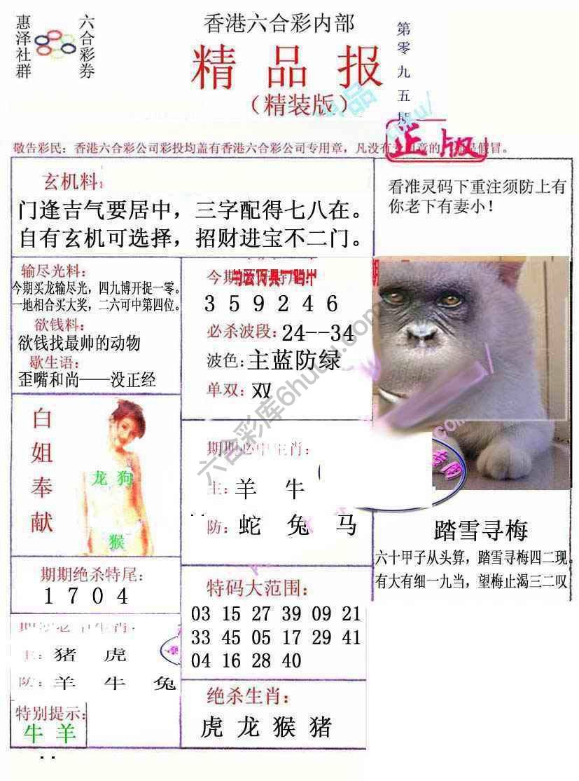 新精品报