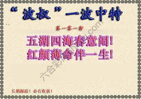 波叔一波中特