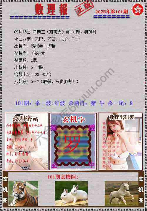 数理报