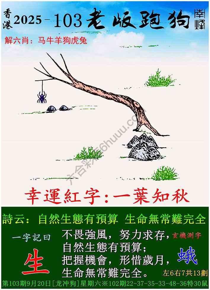 老版跑狗图