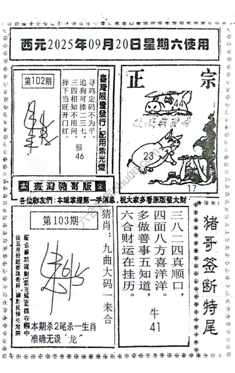 猪哥签断特尾