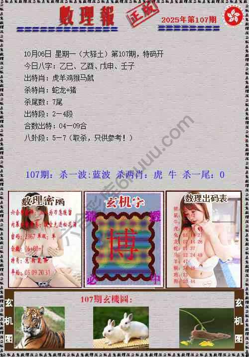 数理报