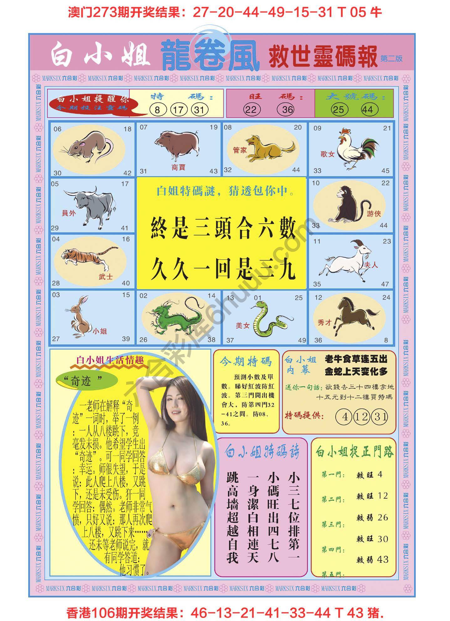 白小姐龙卷风