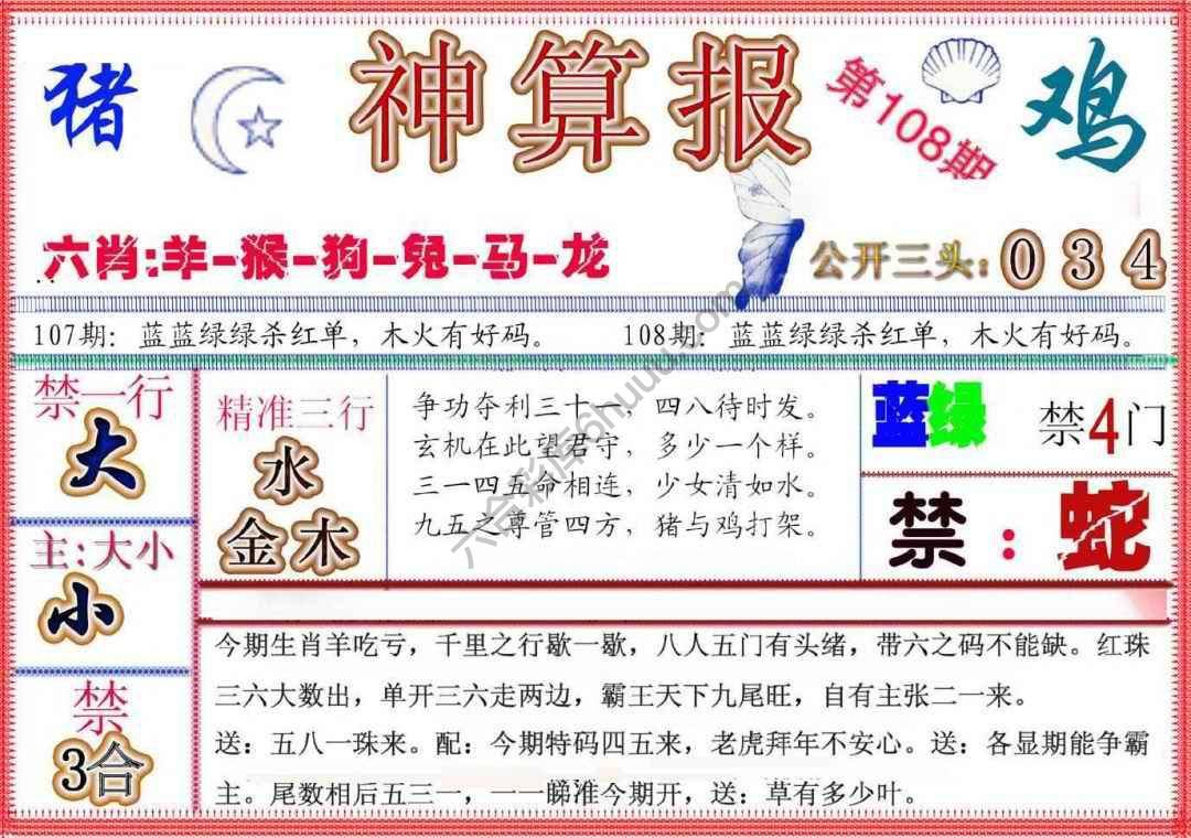 神算报新版
