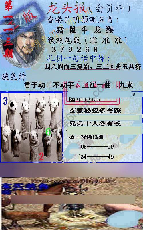 龙头报