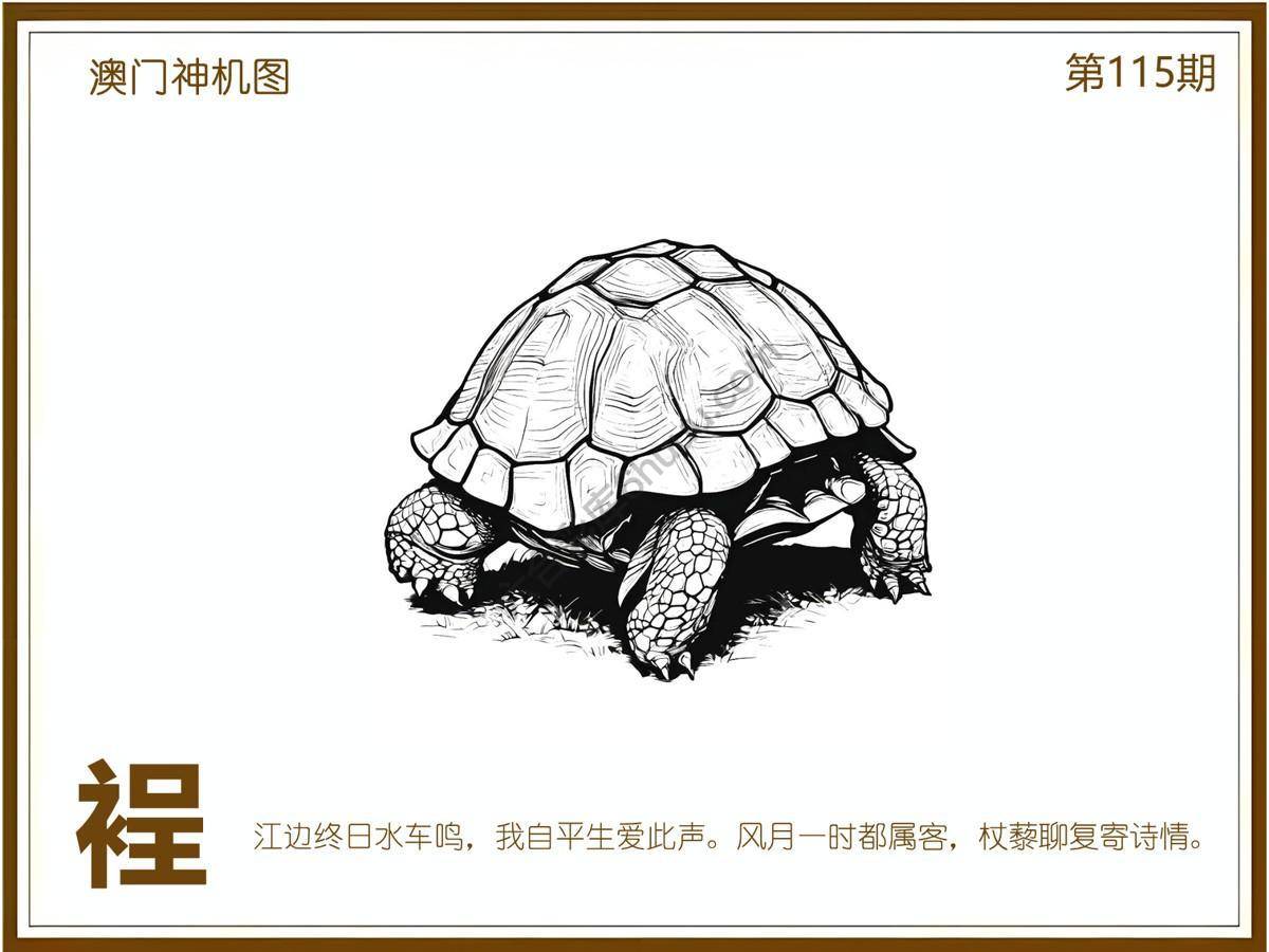 澳门神机图