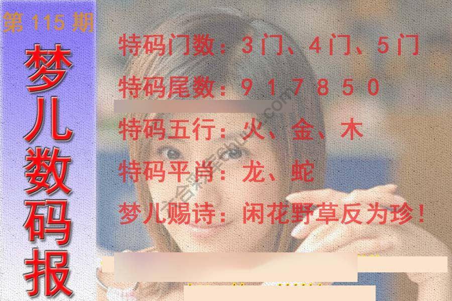 梦儿数码报