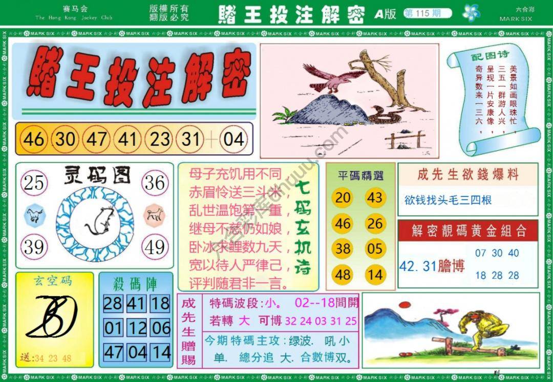 赌王投注解密