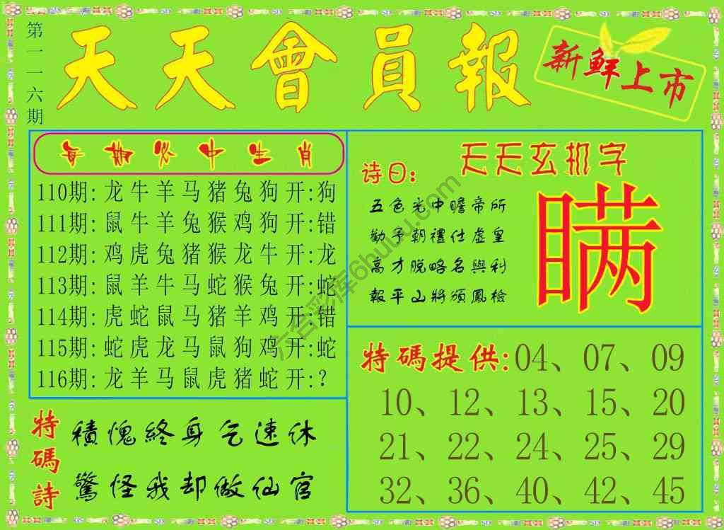 天天会员报