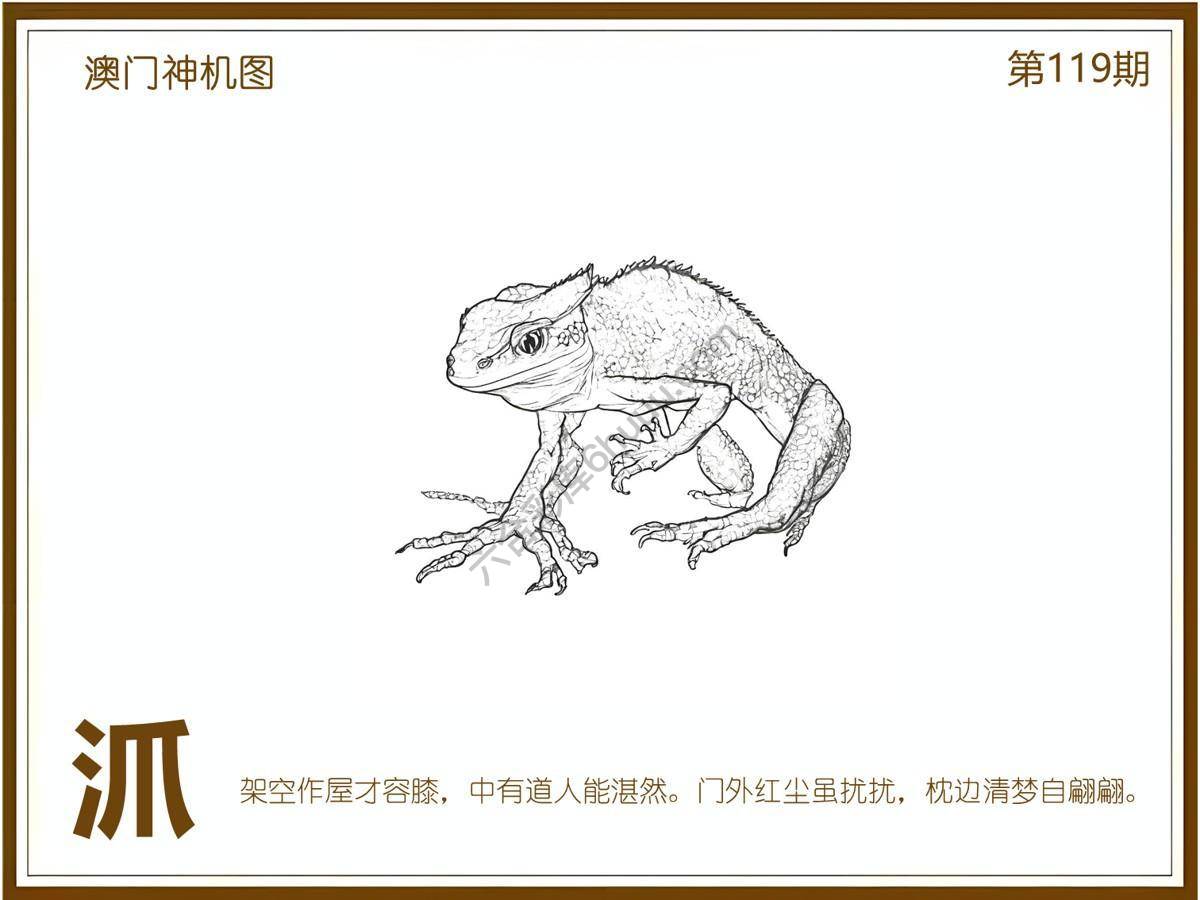 澳门神机图
