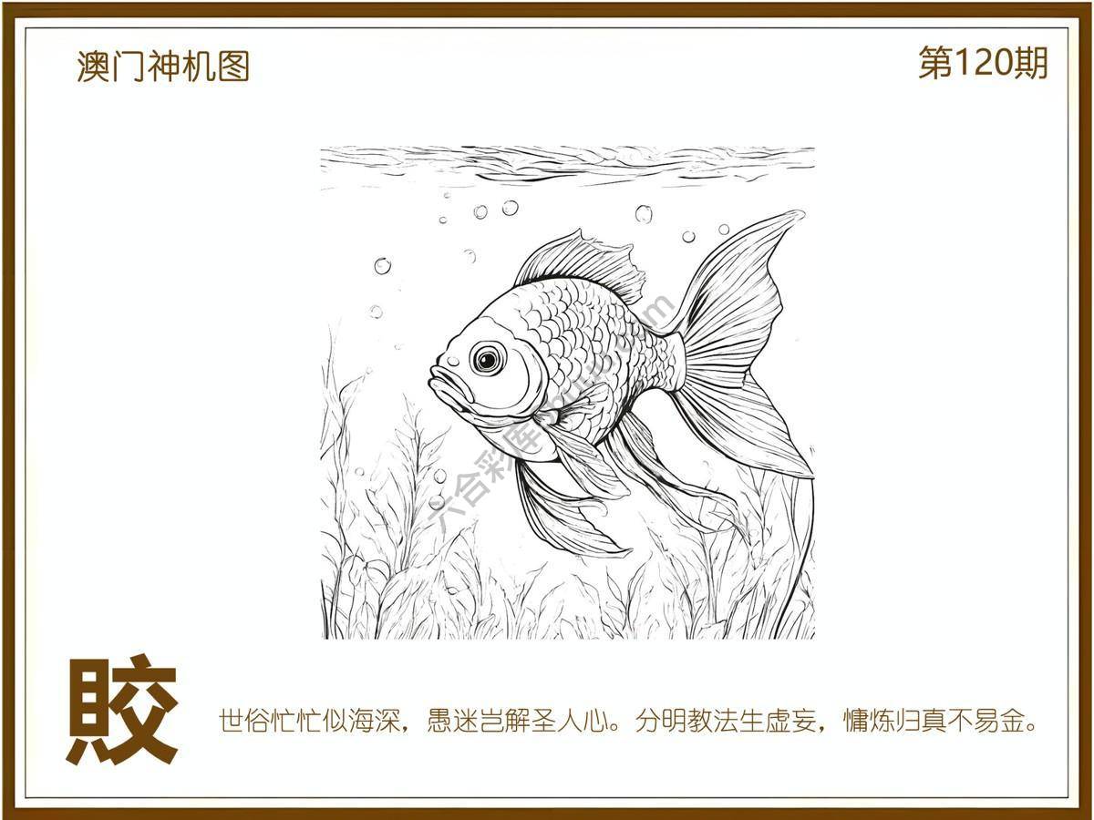 澳门神机图