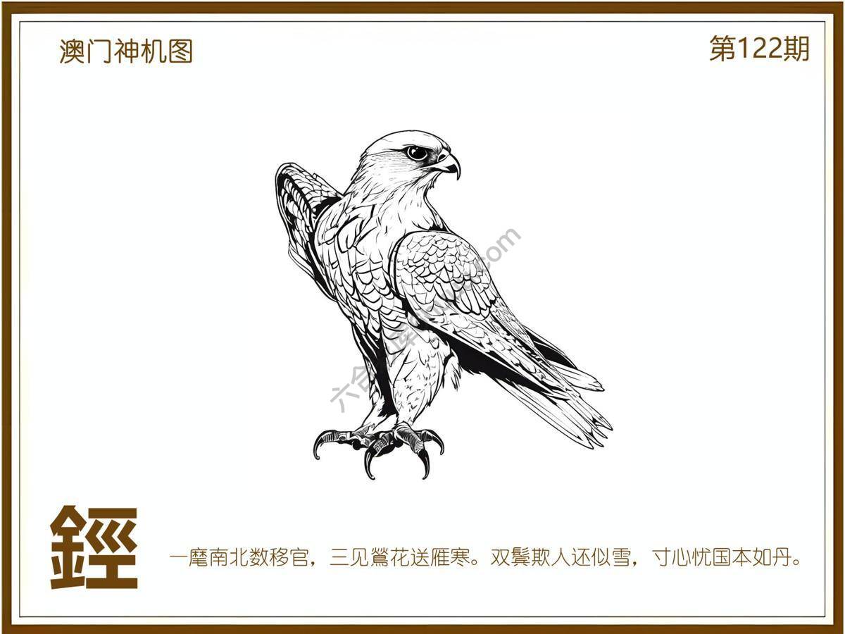 澳门神机图