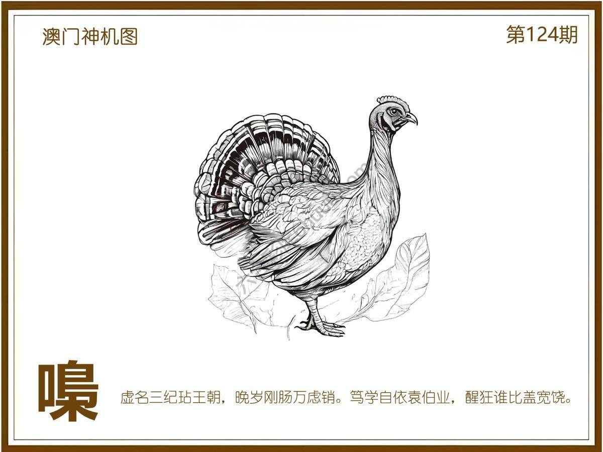 澳门神机图