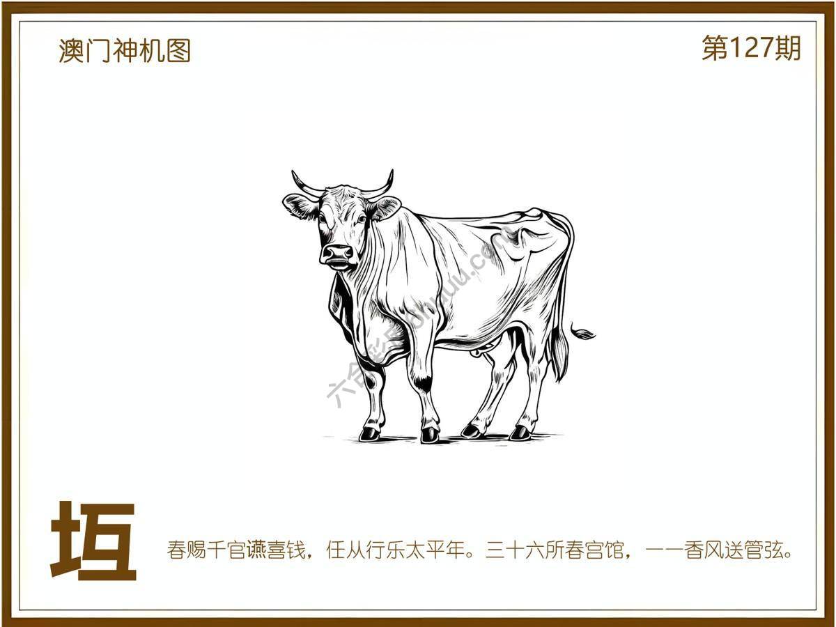 澳门神机图