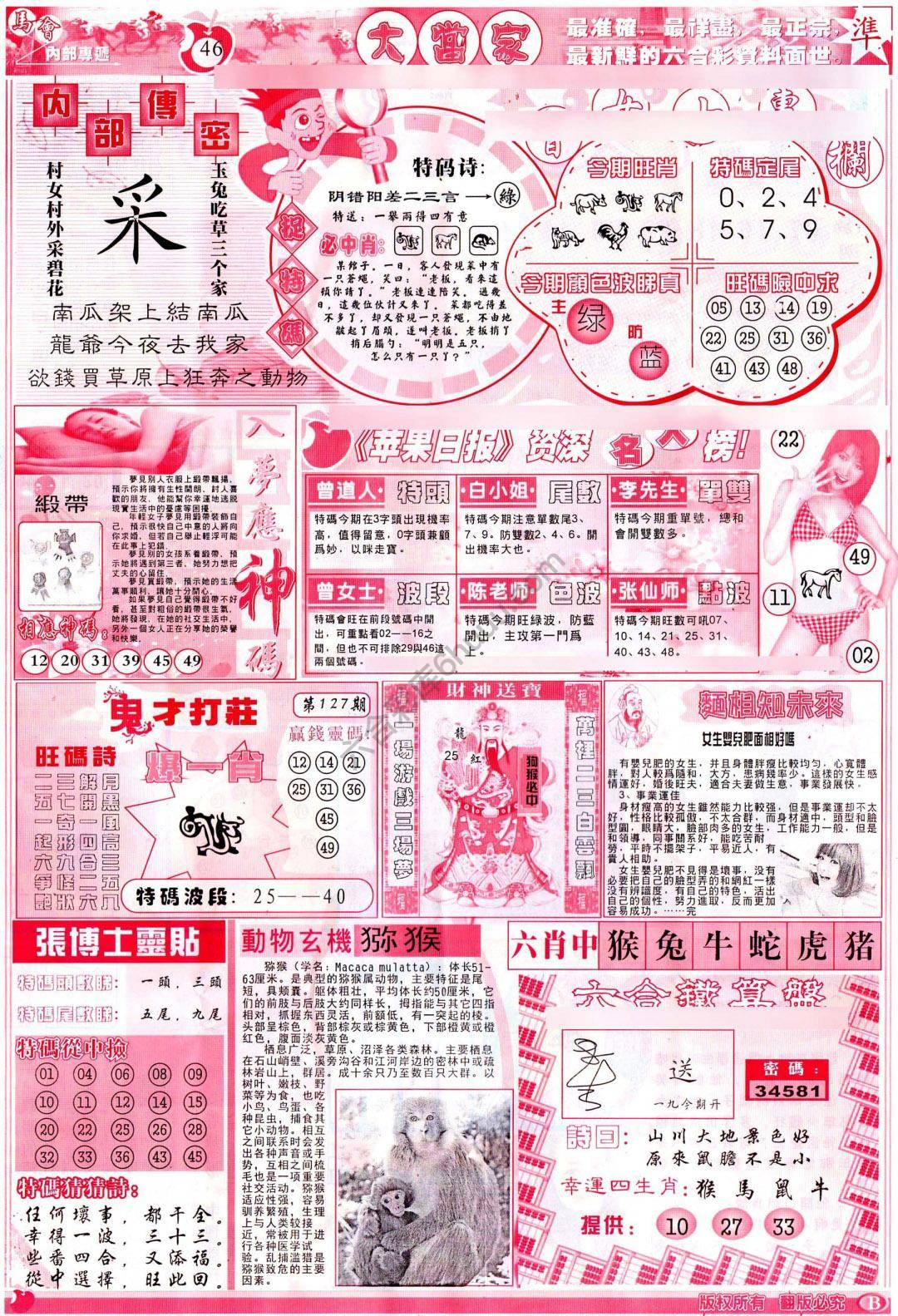 大当家