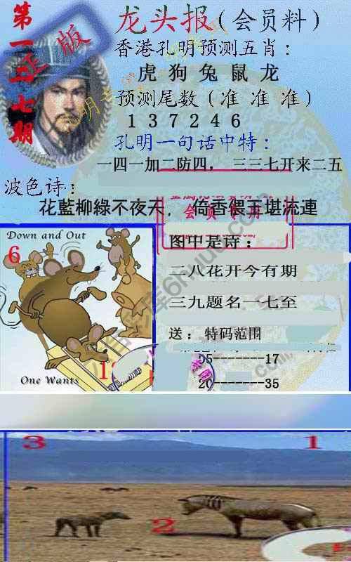 龙头报