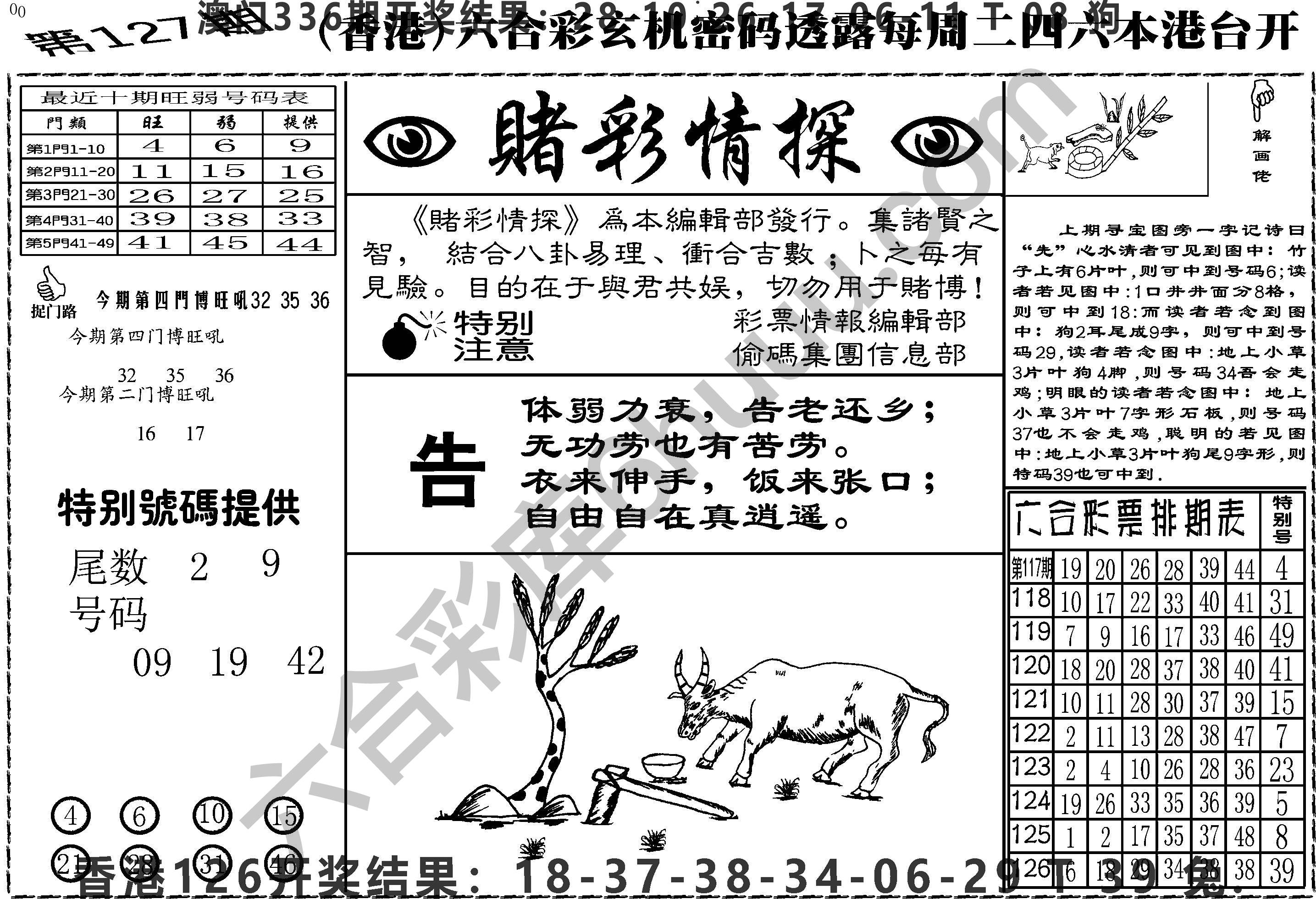 赌彩情探