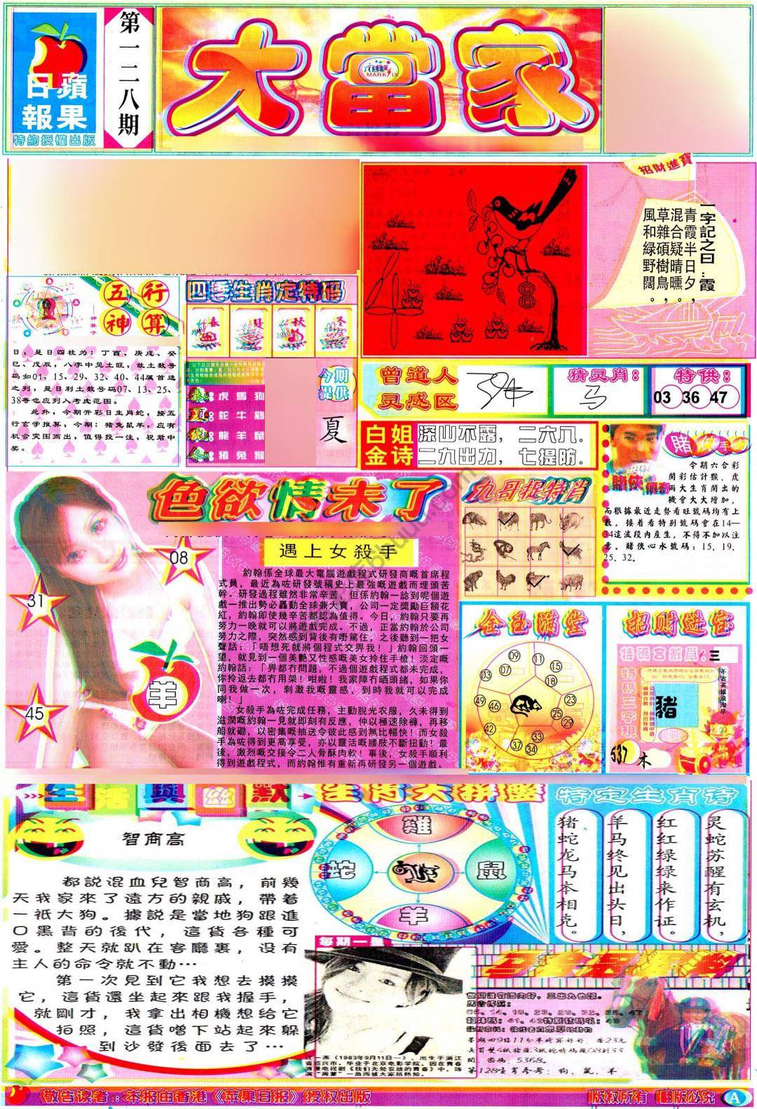 大当家