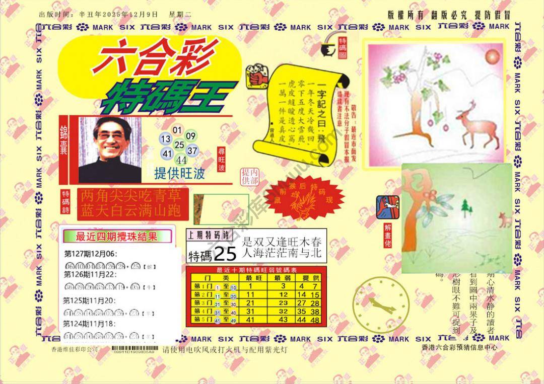 特码王