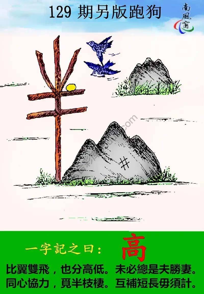 另版跑狗